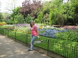 Garden and Me 2